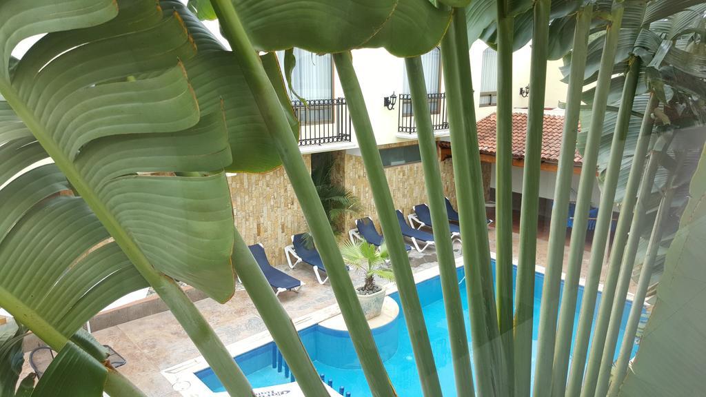 מרידה Hotel Dubrovnik חדר תמונה
