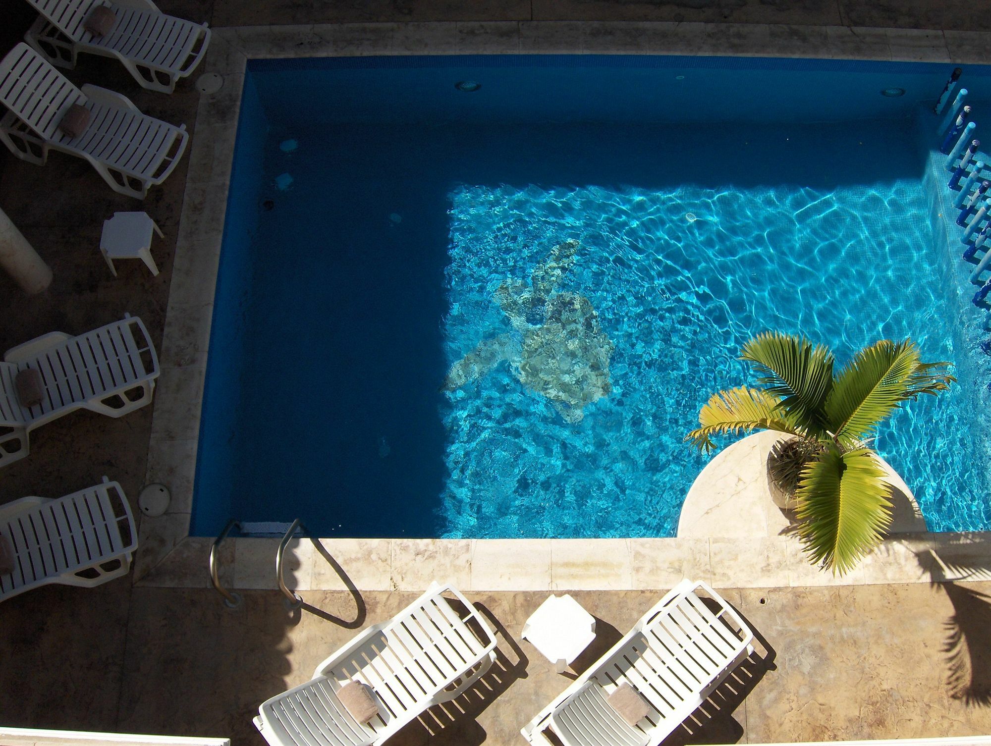 מרידה Hotel Dubrovnik מראה חיצוני תמונה